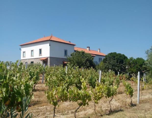 Quinta De Vodra Villa Seia Exterior foto